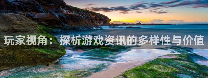 长征娱乐下载链接：玩家视角：探析游戏资讯的多样性与价值